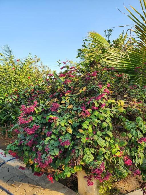 Farmhouse Close To Nature - Kesari Farm Gandhinagar Luaran gambar